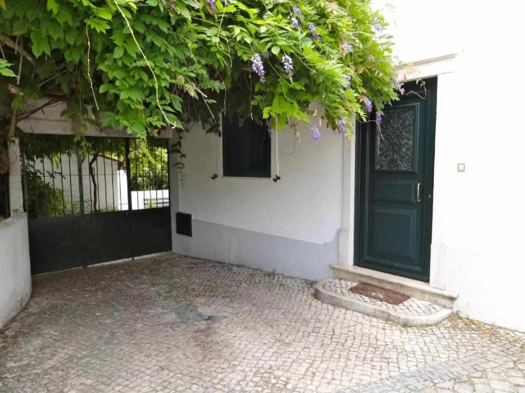 Casa Dos Pocinhos Ferias Tranquilas No Campo Торриш-Новаш Экстерьер фото