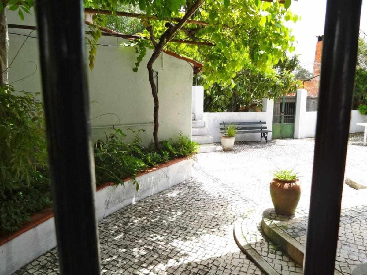 Casa Dos Pocinhos Ferias Tranquilas No Campo Торриш-Новаш Экстерьер фото