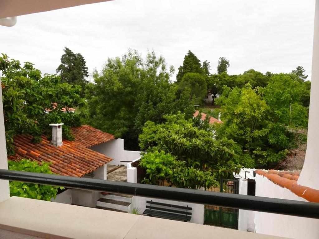 Casa Dos Pocinhos Ferias Tranquilas No Campo Торриш-Новаш Экстерьер фото